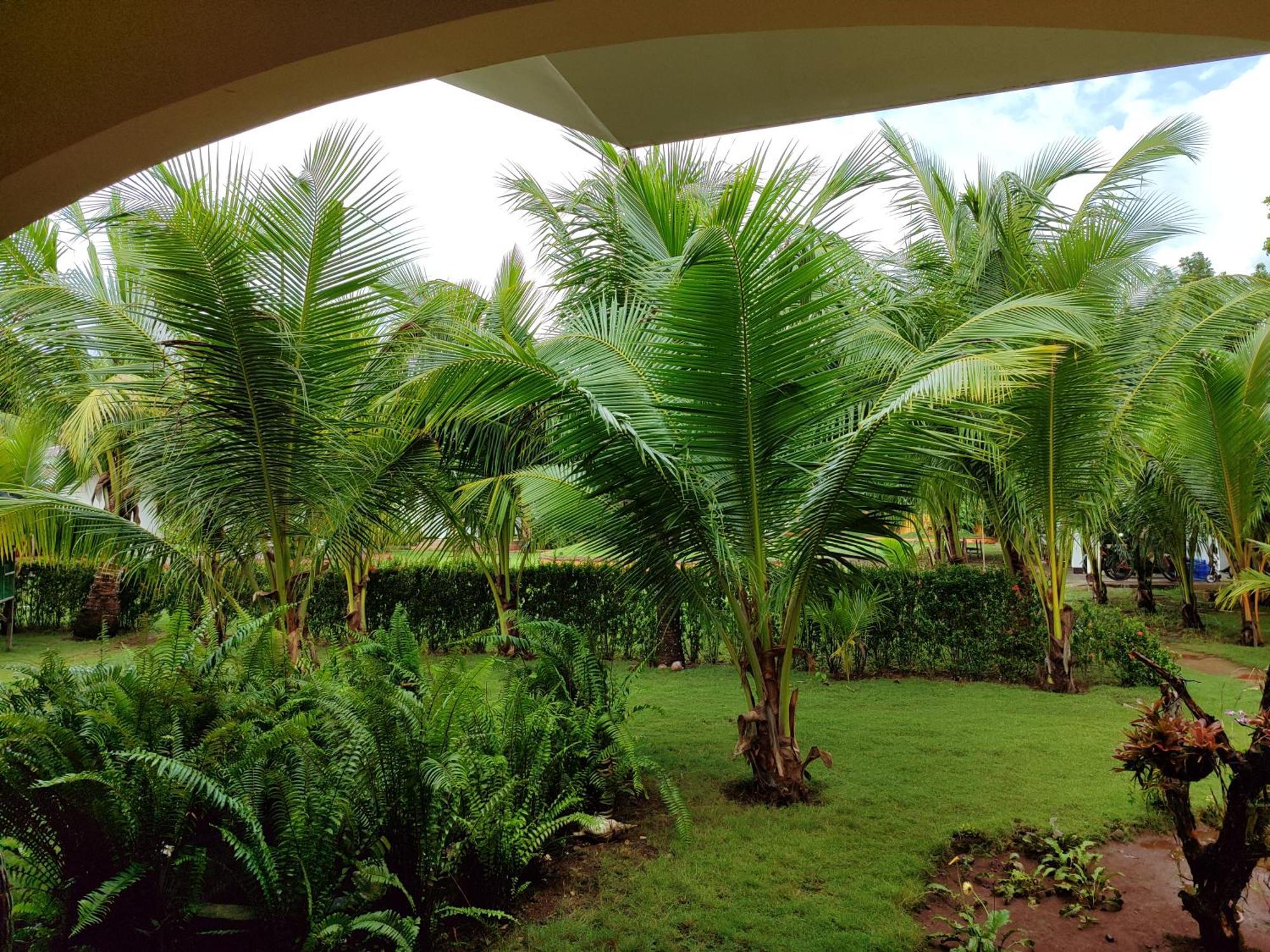 E&N Paradise Island Resort Сикихор Экстерьер фото